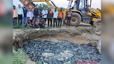 Over 36,000kg of Banned Fish Destroyed After Surprise Raids in Nagpur