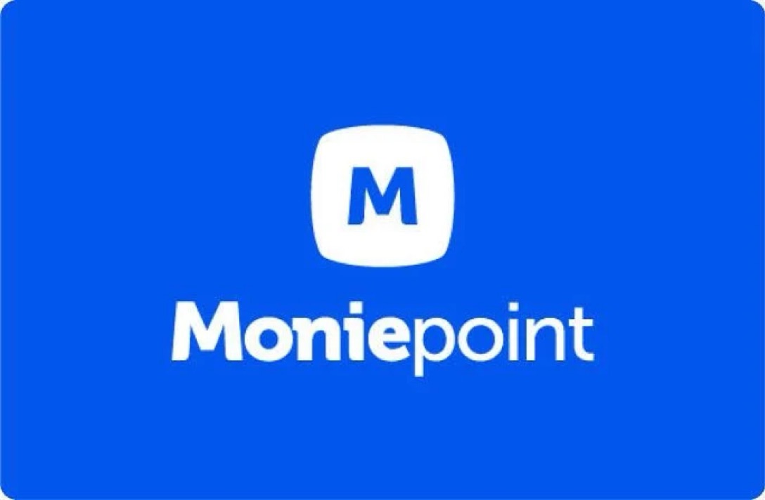 Yobe Police Investigate Alleged ₦74m Moniepoint Fraud, Arrest Loan Officer