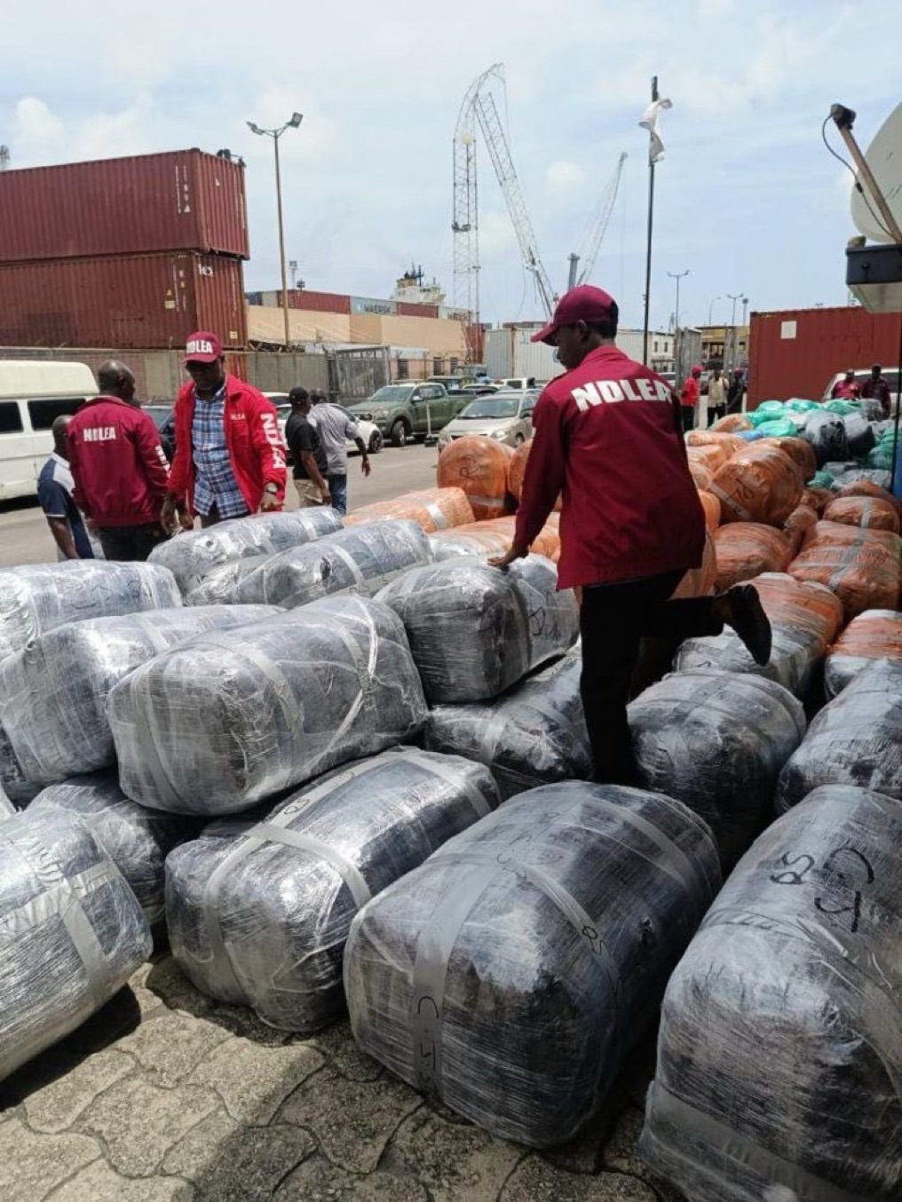 Nigerians Risk Arrest Over Unknown Overseas Packages, NDLEA Warns