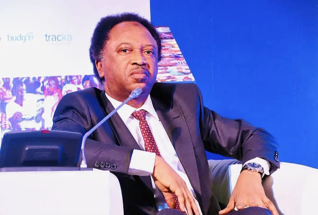 INEC exclusion: Shehu Sani urges aggrieved politicians to move on, strategise for 2031
