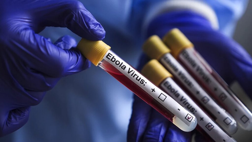Ebola: Ogun says 111 monitored travellers have completed follow-up
